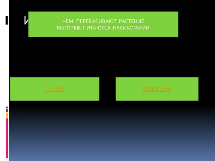 ИГРЫ ЧЕМ ПЕРЕВАРИВАЮТ РАСТЕНИЕ КОТОРЫЕ ПИТАЮТСА НАСИКОМАМИ СОКОМ ВОЛОСАМИ