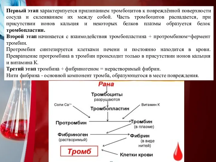 Первый этап характеризуется прилипанием тромбоцитов к повреждённой поверхности сосуда и склеиванием их