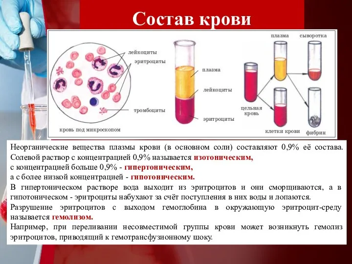 Состав крови Неорганические вещества плазмы крови (в основном соли) составляют 0,9% её
