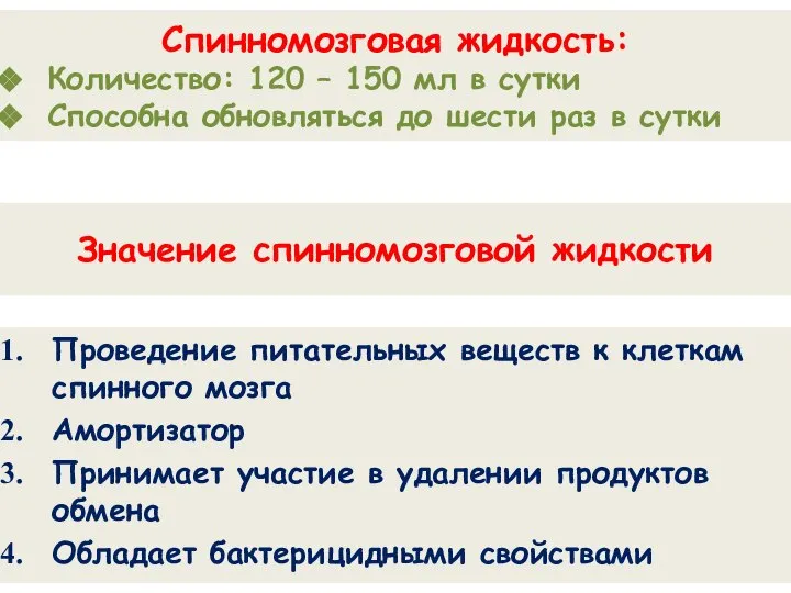 Значение спинномозговой жидкости Проведение питательных веществ к клеткам спинного мозга Амортизатор Принимает