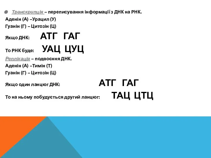 Транскрипція – переписування інформації з ДНК на РНК. Аденін (А) –Урацил (У)