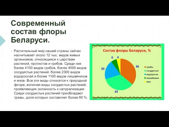 Современный состав флоры Беларуси. Растительный мир нашей страны сейчас насчитывает около 12