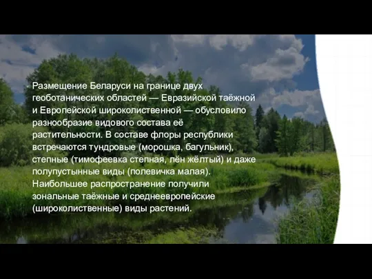 Размещение Беларуси на границе двух геоботанических областей — Евразийской таёжной и Европейской