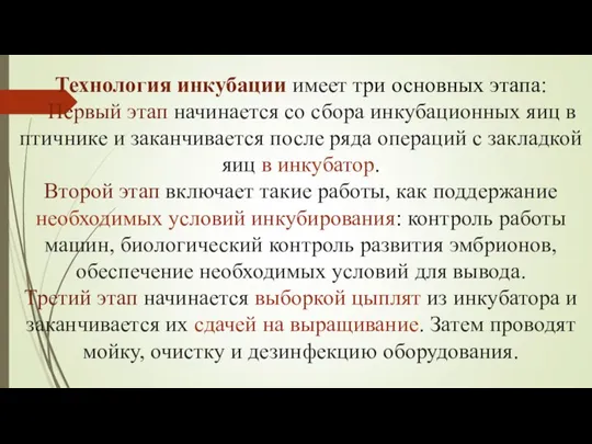 Технология инкубации имеет три основных этапа: Первый этап начинается со сбора инкубационных