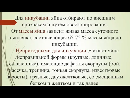 Для инкубации яйца отбирают по внешним признакам и путем овоскопирования. От массы