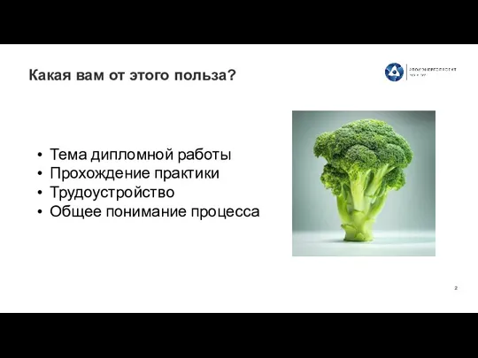 Какая вам от этого польза? Тема дипломной работы Прохождение практики Трудоустройство Общее понимание процесса