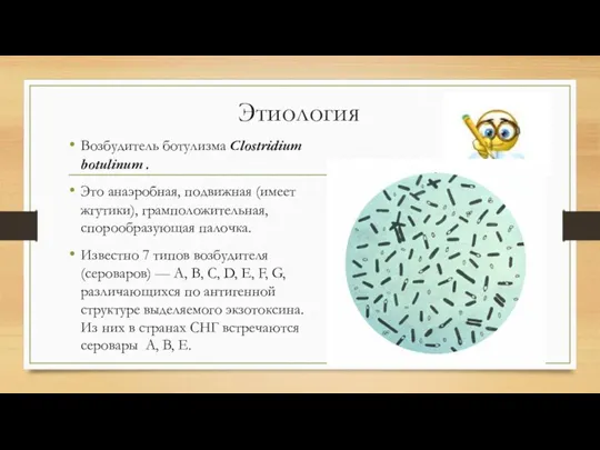 Этиология Возбудитель ботулизма Clostridium botulinum . Это анаэробная, подвижная (имеет жгутики), грамположительная,