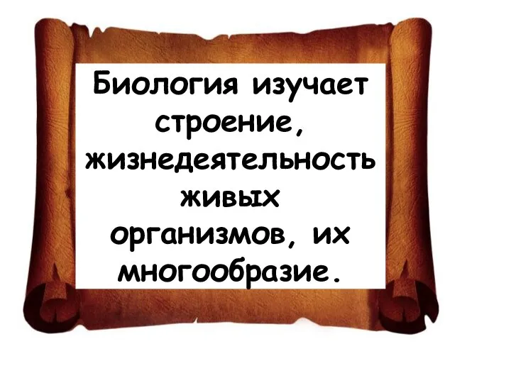 Биология изучает строение, жизнедеятельность живых организмов, их многообразие.