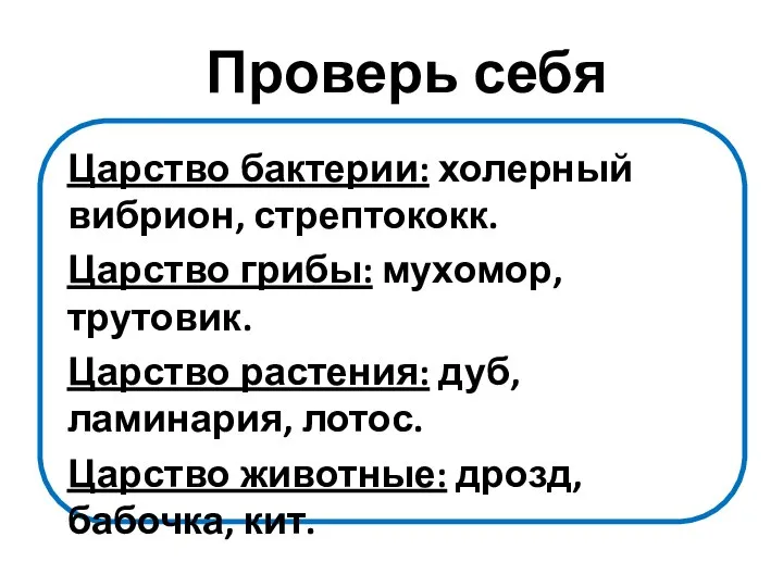 Проверь себя Царство бактерии: холерный вибрион, стрептококк. Царство грибы: мухомор, трутовик. Царство