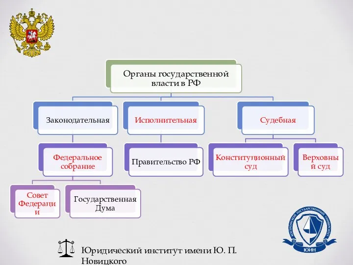 Юридический институт имени Ю. П. Новицкого