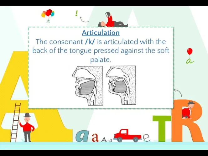 Articulation The consonant /k/ is articulated with the back of the tongue