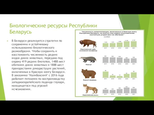 Биологические ресурсы Республики Беларусь В Беларуси реализуется стратегия по сохранению и устойчивому