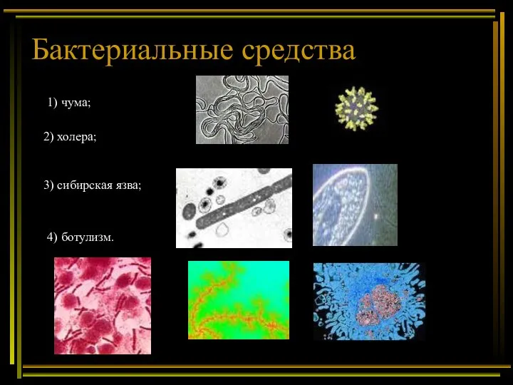 Бактериальные средства 1) чума; 2) холера; 3) сибирская язва; 4) ботулизм.