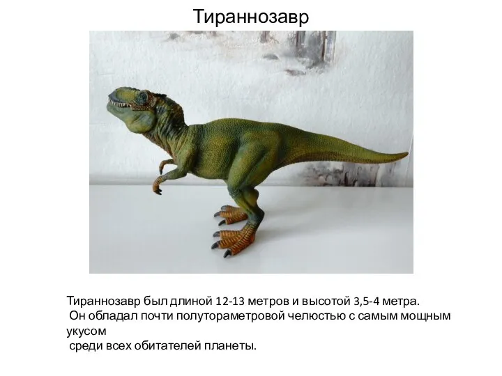 Тираннозавр Тираннозавр был длиной 12-13 метров и высотой 3,5-4 метра. Он обладал