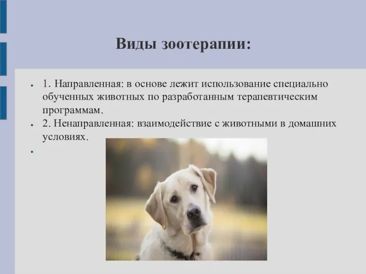 Виды зоотерапии: 1. Направленная: в основе лежит использование специально обученных животных по