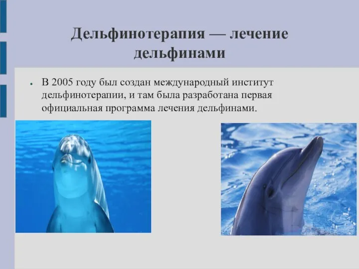 Дельфинотерапия — лечение дельфинами В 2005 году был создан международный институт дельфинотерапии,