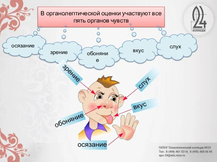 В органолептической оценки участвуют все пять органов чувств осязание зрение обоняние вкус слух