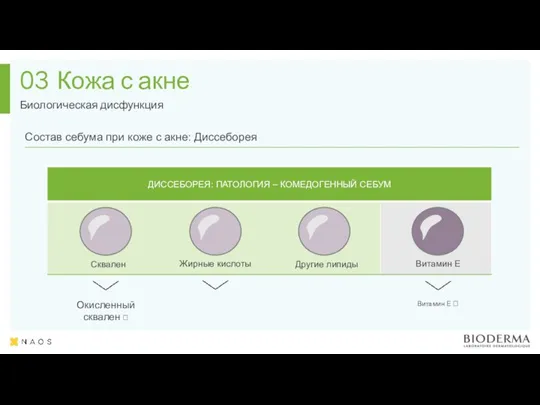 Кожа с акне Биологическая дисфункция 03 Fatty acids Other lipids Vitamin E