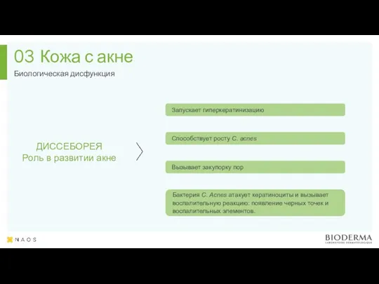 Кожа с акне Биологическая дисфункция 03 ДИССЕБОРЕЯ Роль в развитии акне Запускает