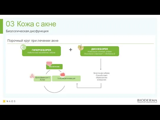 Кожа с акне Биологическая дисфункция 03 ДИССЕБОРЕЯ Изменение состава себума Окисление сквалена=