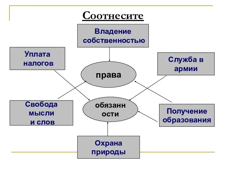 Соотнесите права обязанности Уплата налогов Служба в армии Охрана природы Получение образования