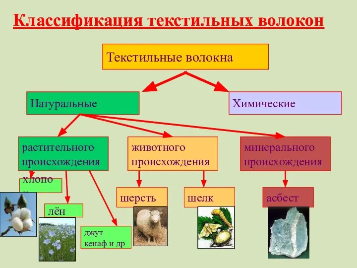 Текстильные волокна Натуральные Химические растительного происхождения животного происхождения хлопок лён джут кенаф