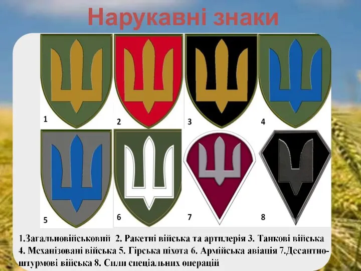 Нарукавні знаки