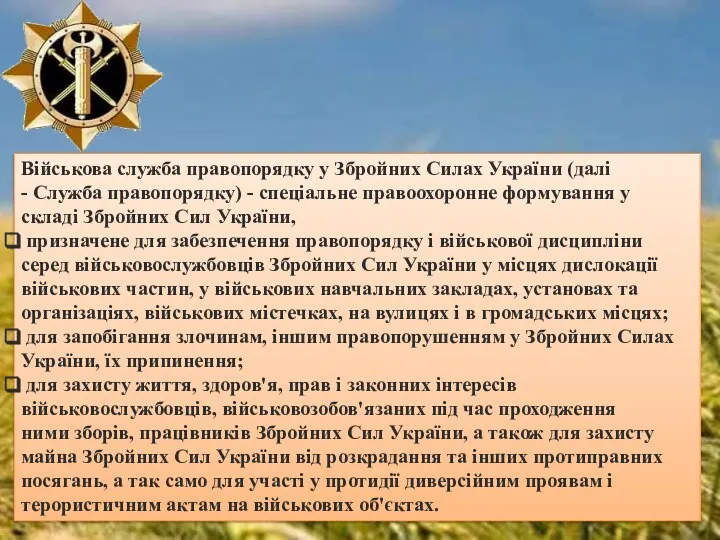 Військова служба правопорядку у Збройних Силах України (далі - Служба правопорядку) -