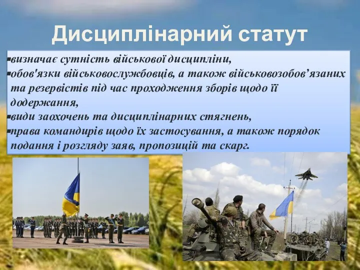 Дисциплінарний статут визначає сутність військової дисципліни, обов'язки військовослужбовців, а також військовозобов’язаних та