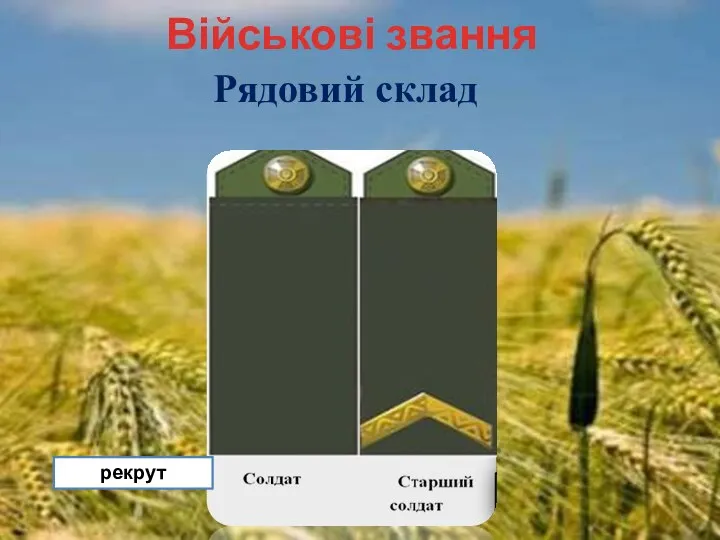 Військові звання Рядовий склад рекрут