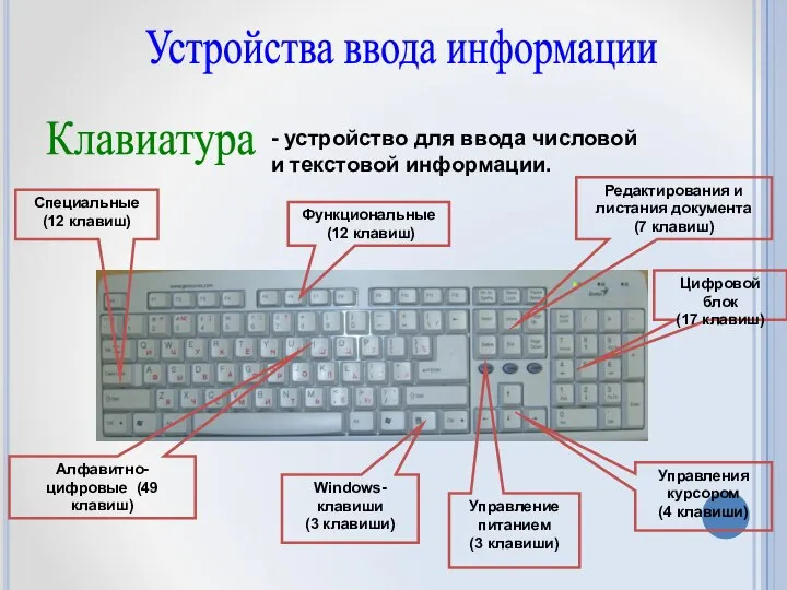 Устройства ввода информации Клавиатура - устройство для ввода числовой и текстовой информации.