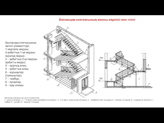 Баспалдақ клеткасының негізгі элементтері: 1– цокольный марш; 2 – 1-й марш этажа
