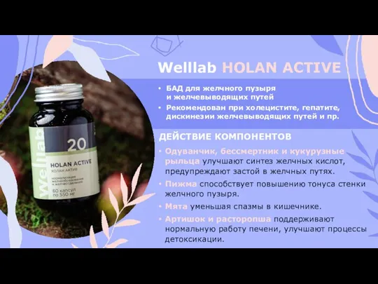 Welllab HOLAN ACTIVE БАД для желчного пузыря и желчевыводящих путей Рекомендован при