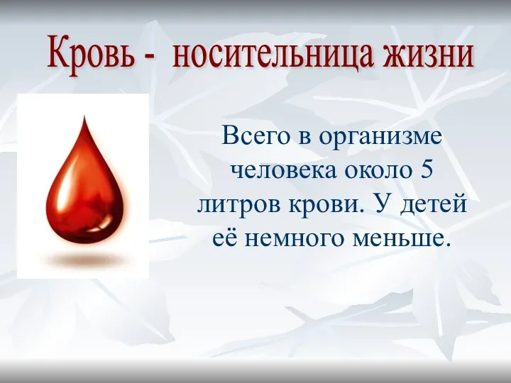 Кровь - носительница жизни Всего в организме человека около 5 литров крови.