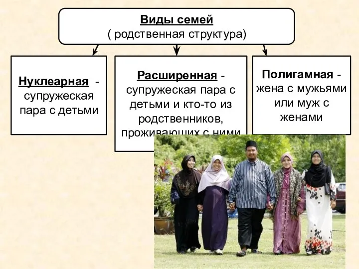 Виды семей ( родственная структура) Нуклеарная -супружеская пара с детьми Расширенная -супружеская
