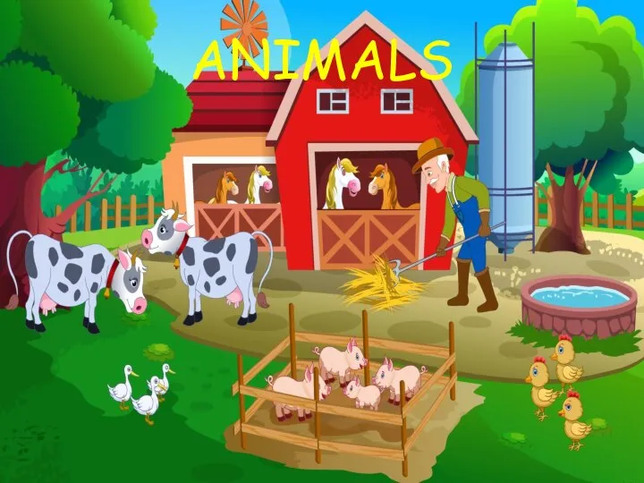 ANIMALS