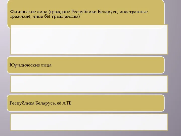 Физические лица (граждане Республики Беларусь, иностранные граждане, лица без гражданства) Юридические лица Республика Беларусь, её АТЕ