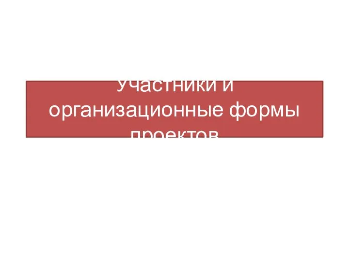 Участники и организационные формы проектов