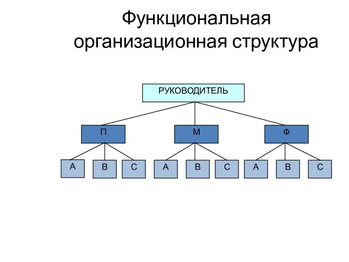 Функциональная организационная структура