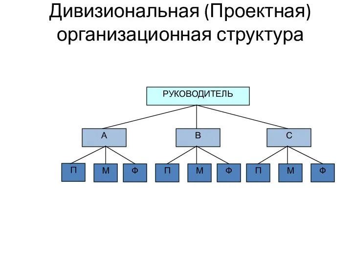 Дивизиональная (Проектная) организационная структура