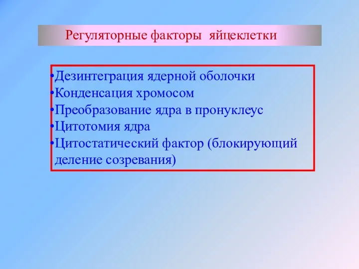 Регуляторные факторы яйцеклетки Дезинтеграция ядерной оболочки Конденсация хромосом Преобразование ядра в пронуклеус