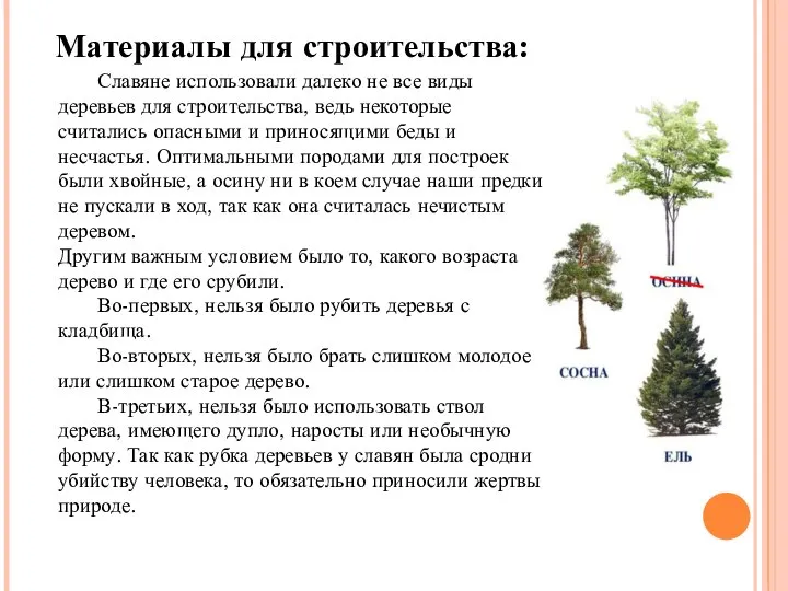 Славяне использовали далеко не все виды деревьев для строительства, ведь некоторые считались