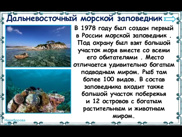 Дальневосточный морской заповедник В 1978 году был создан первый в России морской