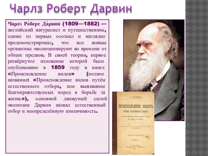 Чарлз Ро́берт Да́рвин (1809—1882) — английский натуралист и путешественник, одним из первых