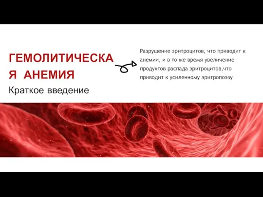 Разрушение эритроцитов, что приводит к анемии, и в то же время увеличение