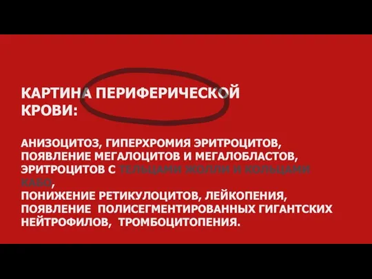 КАРТИНА ПЕРИФЕРИЧЕСКОЙ КРОВИ: АНИЗОЦИТОЗ, ГИПЕРХРОМИЯ ЭРИТРОЦИТОВ, ПОЯВЛЕНИЕ МЕГАЛОЦИТОВ И МЕГАЛОБЛАСТОВ, ЭРИТРОЦИТОВ С