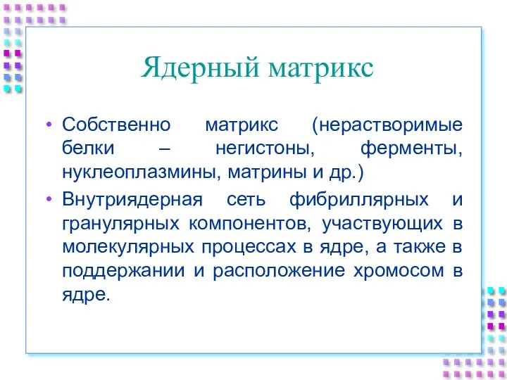 Ядерный матрикс Собственно матрикс (нерастворимые белки – негистоны, ферменты, нуклеоплазмины, матрины и