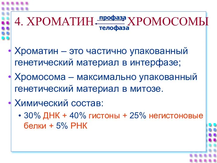 4. ХРОМАТИН ХРОМОСОМЫ Хроматин – это частично упакованный генетический материал в интерфазе;