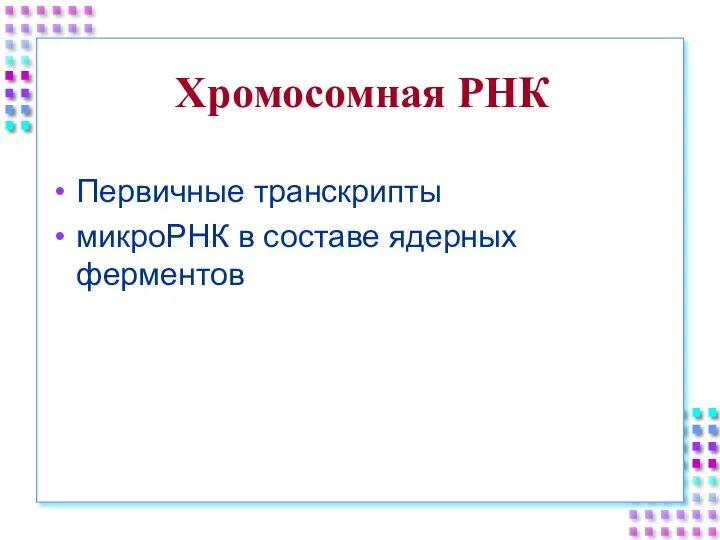 Хромосомная РНК Первичные транскрипты микроРНК в составе ядерных ферментов