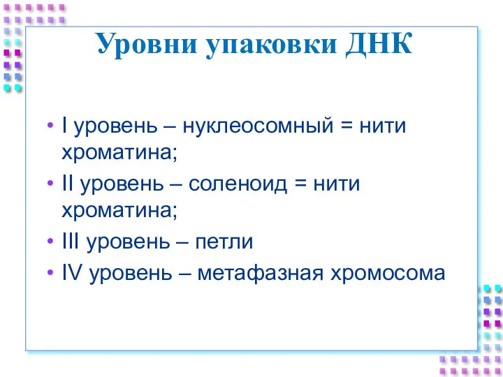 Уровни упаковки ДНК I уровень – нуклеосомный = нити хроматина; II уровень